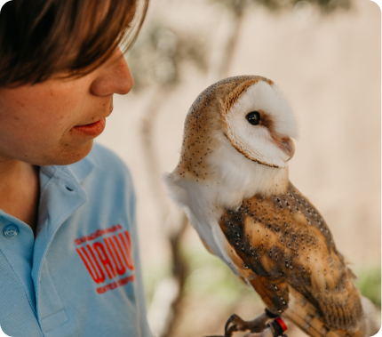 Taller <b>“Aves rapaces en vuelo y conservación”</b>