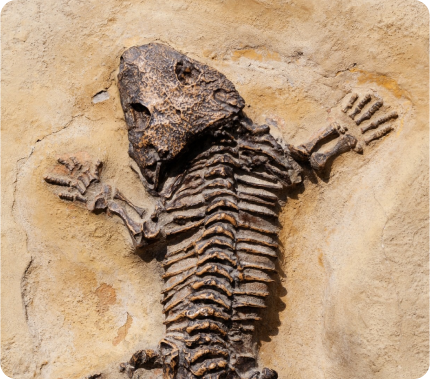 Charla <b>“Si no te gusta(ba) la Geología, siéntate…”</b>