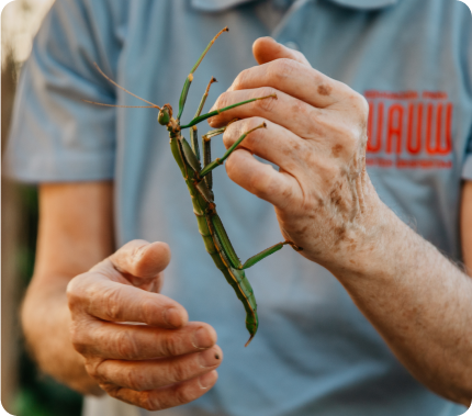 Taller <b>“Insectos imposibles”</b>