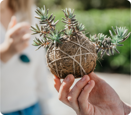 Taller <b>“Ciudades verdes: Bombas de semillas y balcones vivos”</b>