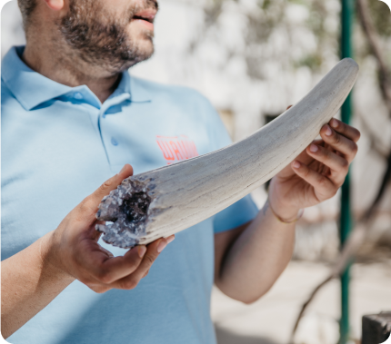 Taller <b>“Biodiversidad en una maleta: mascotas y especies invasoras”</b>